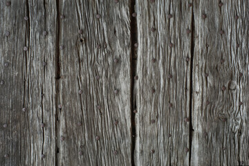 Background very old wooden door in detail surface with hand-forged pyramidal rusty nail heads heavily weathered gray grain with furrows