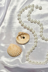 Earrings and necklace with seashells on silk cloth