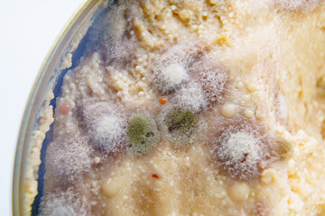 close up. multi-colored mold on canned food. spoiled products. 