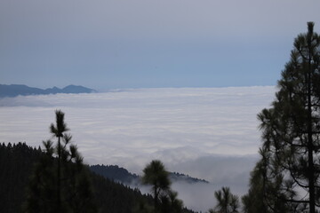Tenerife &Icirc;les Canaries 