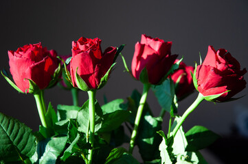 Red roses