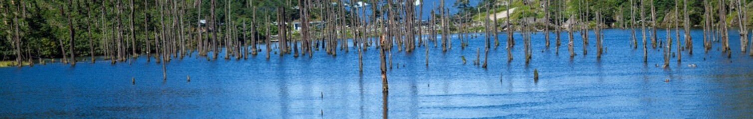 Lake high up in the mountains in Arunachal Pradesh in India with trees in water and cabin by the side