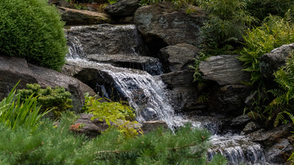 waterfall in the park