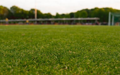Football soccer pitch green grass field ready to start play