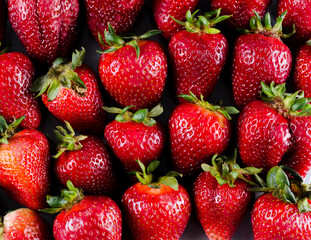 closeup of fresh strawberries from an organic garden
