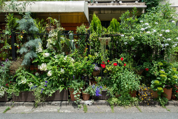 Urban Garden Tokyo Japan