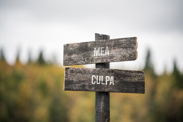 vintage and rustic wooden signpost with the weathered text quote mea culpa, outdoors in nature. blurred out forest fall colors in the background.