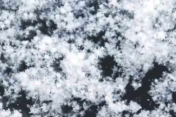 Snow grains and snowflakes are sprinkled on the black hood of the car. Fresh slightly wet snow, warm winter