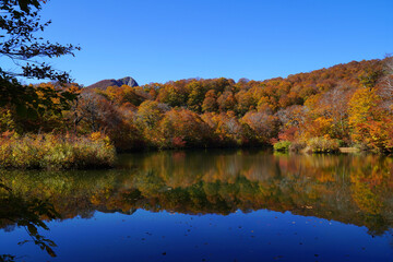 鎌池の紅葉