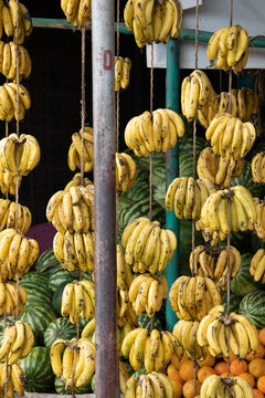 Bananas hang from a display at an outdoor market in Dessie, Ethiopia.