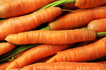 Many tasty fresh carrots as background, closeup
