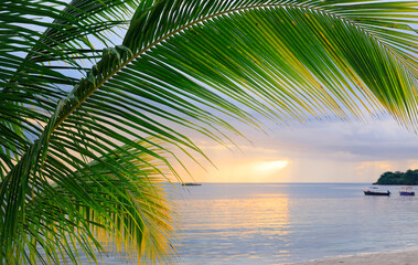 Sunset at the beach in Negril, Jamaica, Caribbean, Middle America