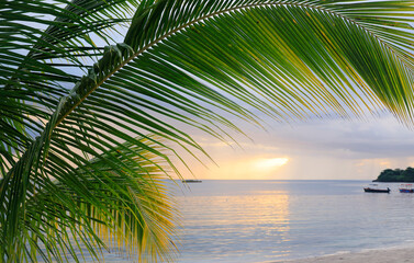 Fototapeta premium Sunset at the beach in Negril, Jamaica, Caribbean, Middle America