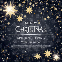 Fototapeta na wymiar Christmas and New Year black luxury vector background with winter decor 