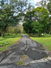 path in the park