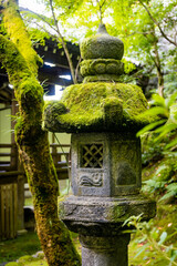 Beautiful japanese toro lantern covered with moss