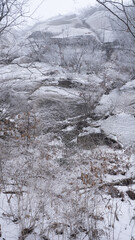 눈과 서리로 덮여 겨울 왕국이 된 풍경