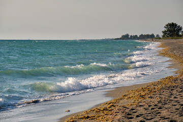 Seaside sand beach with foamy waves crushing on shore