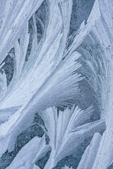 closeup of ice crystals on window glass. beautiful winter background.