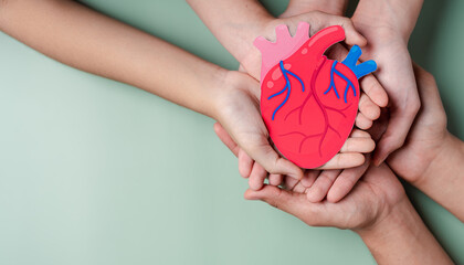 hands holding heart organ paper cut, heart anatomy, heart attack, heart disease, Female with health care and Healthy feminine concept.