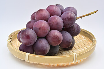 葡萄　巨峰
