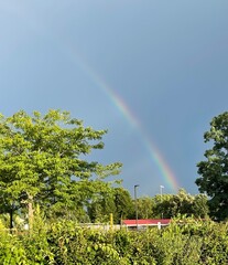 rainbow in the garden