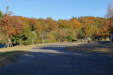 秋のびわこ文化公園の午後