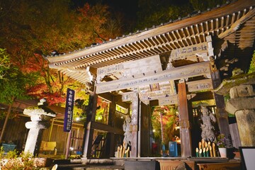 Obraz premium 日本の国宝 富貴寺ライトアップ