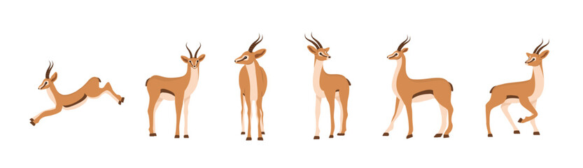 Elegant african antelope. Set of gazelles with horns on white background. Mammal animal. Vector illustration in flat cartoon style. - obrazy, fototapety, plakaty