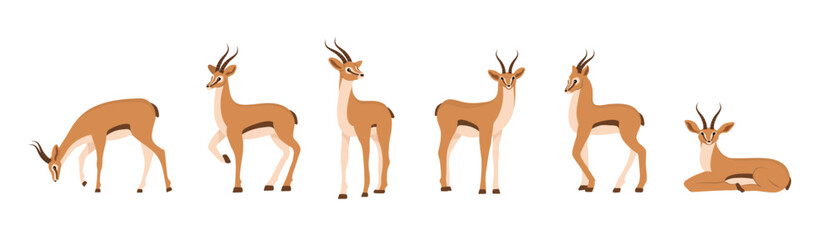 Stylized african antelope. Set of gazelles with horns on white background. Mammal animal. Vector illustration in flat cartoon style.