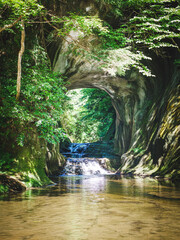 waterfall in the forest