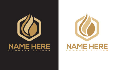 fire, flame and water drop icon with hexagon professional , creative , eye-catching logo design.