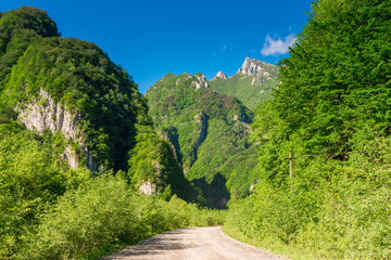 Fototapeta na wymiar Karmadon Gorge. North Ossetia - Alania. Caucasus. Russia