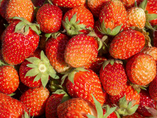 Red, ripe strawberries close-up. Fresh harvest, agriculture.