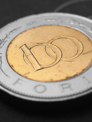 Hungarian coin of 100 forints lies on dark black surface closeup. Money of Hungary. News about economy or currency. Loan and credit. Tax and inflation. Magyar forint. Vertical illustration. Macro