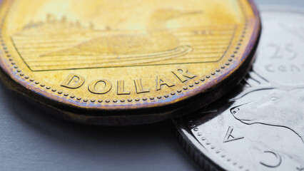 Canadian money lie on a white or gray surface. 1 dollar Canadian coin closeup. Illustration on the theme of economics or banking. Coins and money of Canada. News about the discount rate and inflation