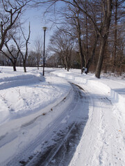 冬の公園