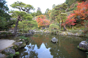 Fototapeta premium 京都銀閣寺の庭園