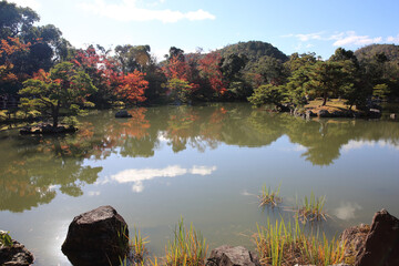 金閣寺の庭園