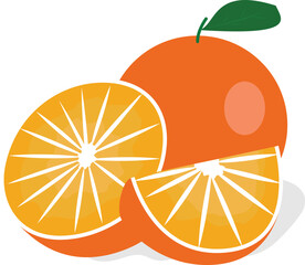 illustration of orange