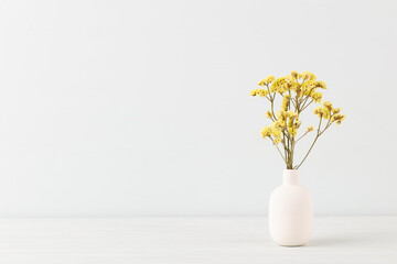 Flower in vase on pastel wall background.