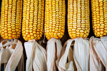 corn on the cob peeled on the table