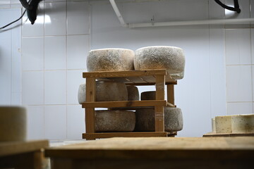 Whole wheel cheese on shelfs at the production - 549388263