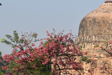 History of India frim Taj Mahal to Fatehpur Sikri and Delhi Forts.