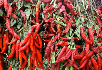  Wall covered in red hot peppers displayed on a stand in a market in Bari.  