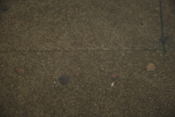 autumn maple fallen leaves under lake water surface with waves circles and sky reflation