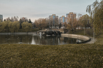 Beautiful autumn urban park. Public park with fallen leaves fields trees waterways benches stones waterfall and pond