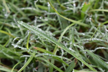 Green and Yellow are the most colors available around us.