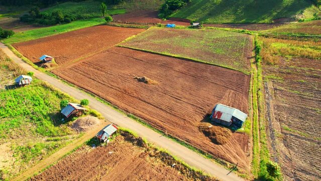 Top view from drone flying over agricultural areas, Horticulture and field crops, Country roads and farmer's houses. Mae Hong Son Province Northern Thailand. cultivation concept. agriculture industry
