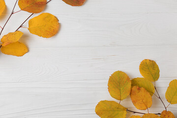 Fototapeta na wymiar Branches with autumn leaves on white wooden table, flat lay. Space for text